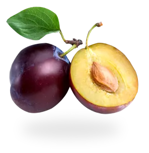 plum